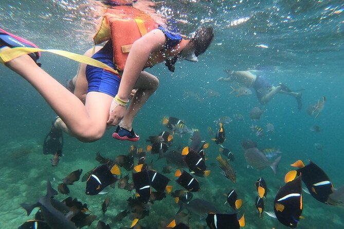 Mismaloya Snorkeling Tour 1Hr Private - Inclusions and Logistics