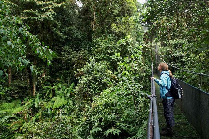 Mistico Arenal Hanging Bridges - Location and Accessibility