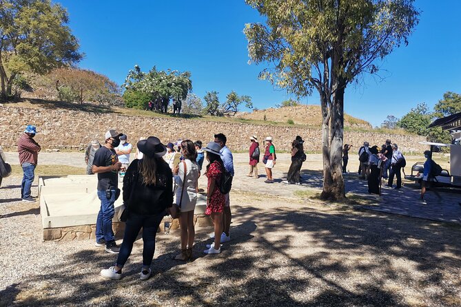 Monte Alban - Full Day Guided Tour With or Without Food - Oaxaca - Highlights of the Tour
