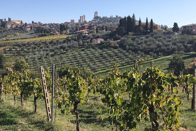 Montecatini Private Day Trip To Chianti & San Gimignano - Pickup and Accessibility