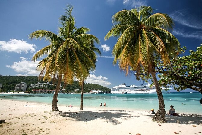 Montego Bay Experience With Souvenir Shopping & Private Beach - Accessibility and Participation
