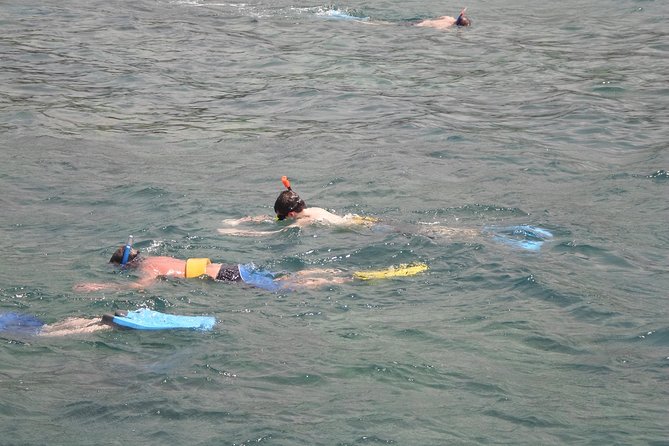 Montego Bay Shore Excursion: Private Snorkel Tour - Pickup Information