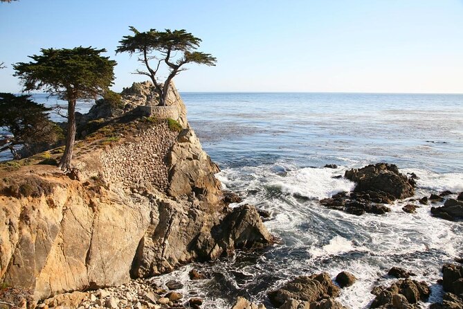 Monterey Carmel Big Sur Pebble Beach by Luxury Vehicle 6 Hrs~ - Accessibility and Participation
