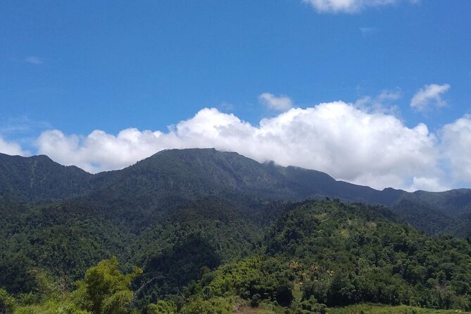 Morne Daiblotin Mountain Climb -Dominicas Tallest - Meeting Point and Pickup Options