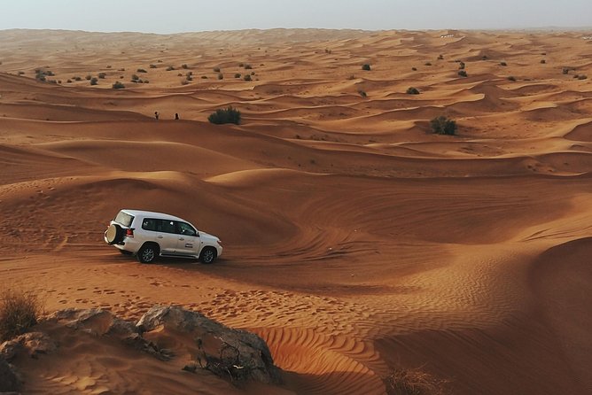 Morning Desert Safari - Whats Included in the Tour