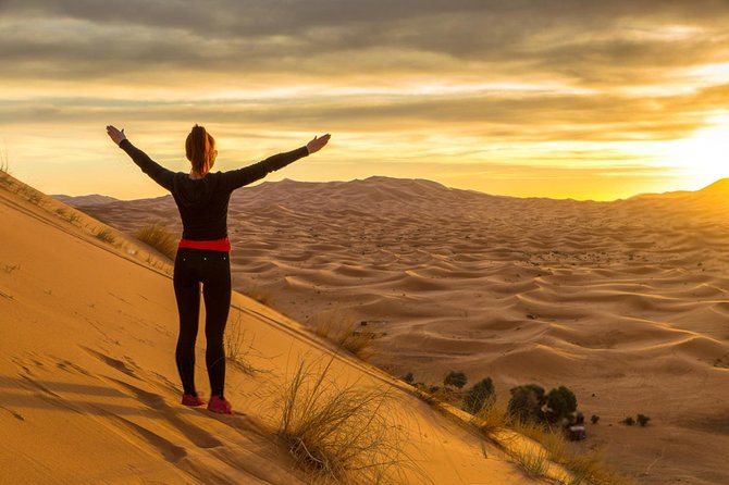 Morning Desert Safari With Dune Bashing - Pricing Details and Booking