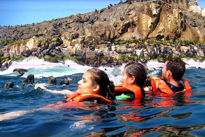 Morning: Palomino Island Tour - Booking and Confirmation