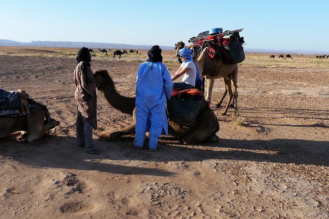 Morocco Desert Trek Dromedary Mhamid Dunes - Moroccan Desert Landscape