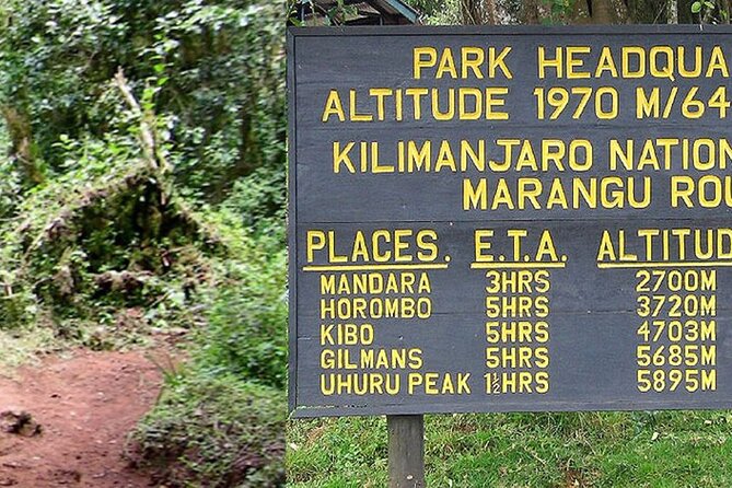 Mount Kilimanjaro Day Hike Through Marangu Route to Mandara Hut - Preparing for the Day Hike