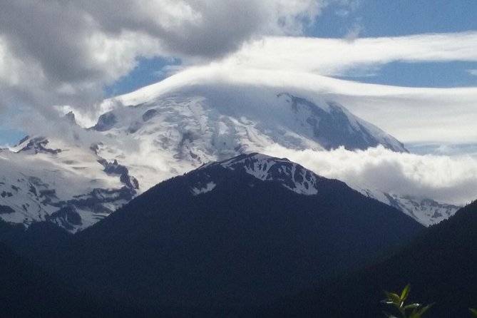 Mount Rainier Tour From Seattle - Inclusions