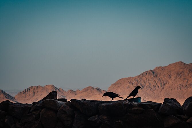 Mount Sinai Moses' Mountain and St. Catherine Monastery Tour - Traveler Experiences