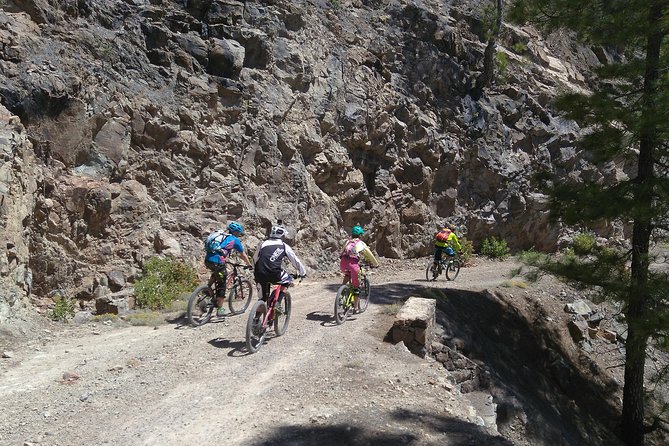 Mountain Bike Excursions - Additional Information