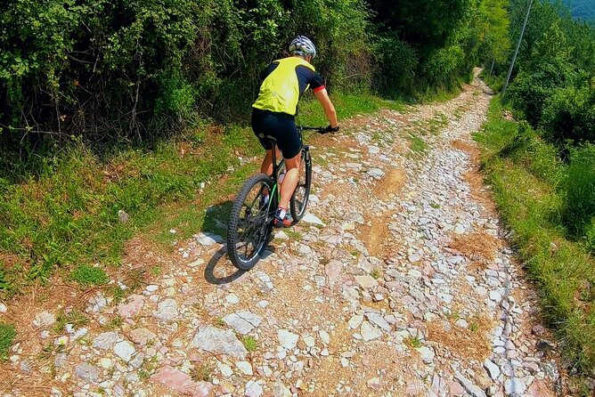 Mountain Biking on Vrmac Peninsula - Panoramic View on Kotor Bay - Reviews and Ratings