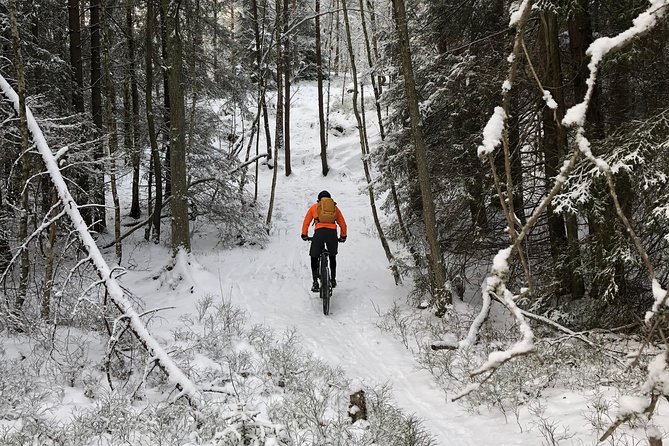 Mountain Biking Small-Group in Stockholm Forests for Beginners - Accessibility and Health Considerations