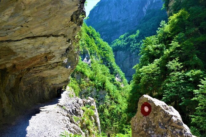Mrtvica Canyon Hiking Tour - Pickup Information