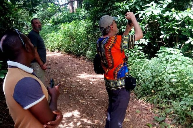 Mt. Kilimanjaro (Machame Route) - Accommodation and Transportation