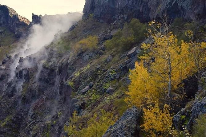 Mt Vesuvius E-Bike Tour - Guide Expertise and Service