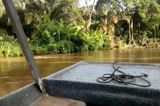 Multi-Day All Inclusive at Tortuguero With a Tour at National Park From San Jose - Inclusions