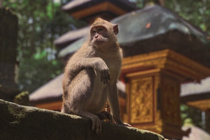 Munduk: Tamblingan Jungle Trek, Waterfall, Ulun Danu Temple - Visiting the Waterfall