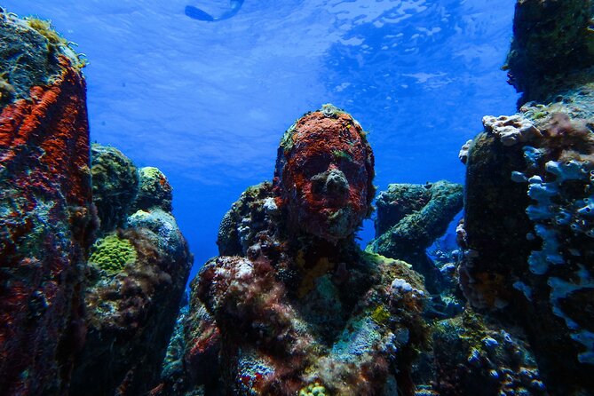 MUSA Museum and Colorful Reef 2 Tank Dive-Certified Divers - Included in the Tour