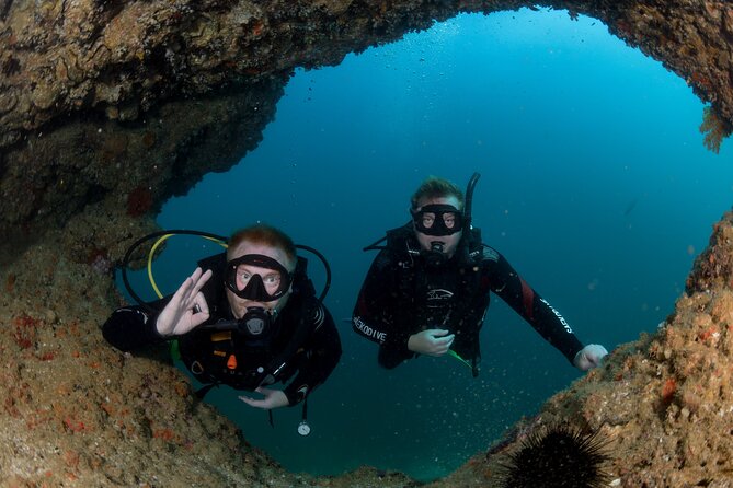 Muscat Scuba Diving Trip to Daymaniyat Islands - Preparing for the Diving Adventure