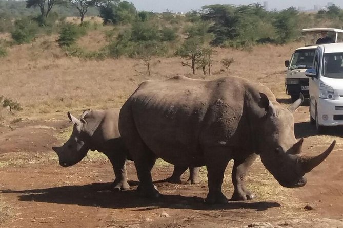 Nairobi National Park, Elephant Orphanage, Giraffe Centre Tour - Itinerary Highlights
