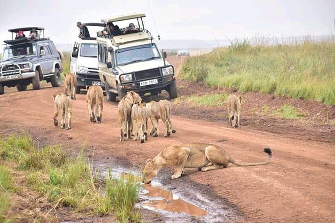 Nairobi National Park, Giraffe Center and Museum Day Tour - Meeting and Pickup Arrangements