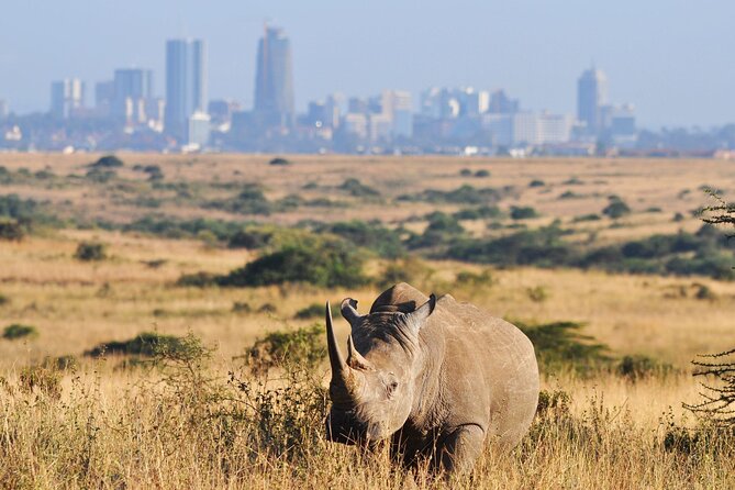 Nairobi National Park Group Shared Tour - Inclusions and Amenities