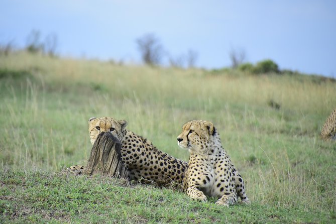 Nairobi National Park Tour - Booking and Cancellation Policy