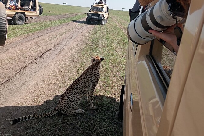 Nairobi Park Wildlife Safari - Highlights of the Wildlife