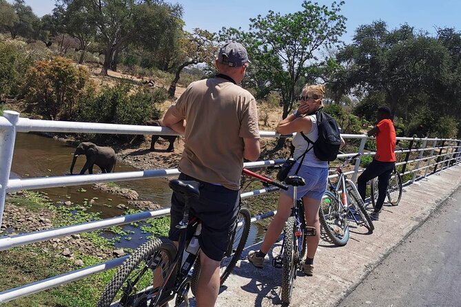 Nature and Falls Tours - Inclusions and Accessibility Features