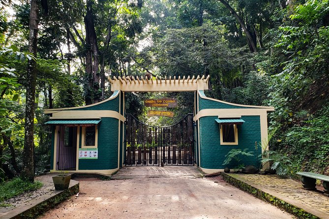 Nature Tour to Udawatte Kele Sanctuary, Kandy From Bentota - Tour Highlights and Itinerary