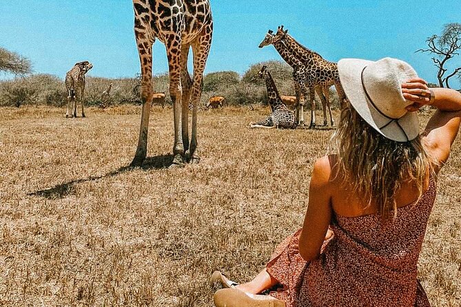 Nature Walk With Giraffes in Mombasa - Pricing Details