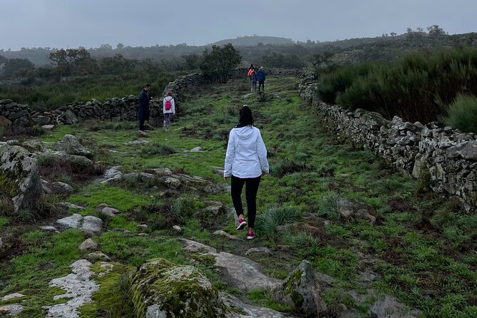 Nature Walks in Marvão: A Review - Guided Tour Highlights