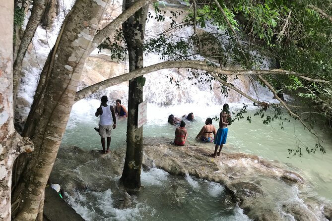 Negril to Dunns River Small Group Tour - Dunns River Falls Adventure