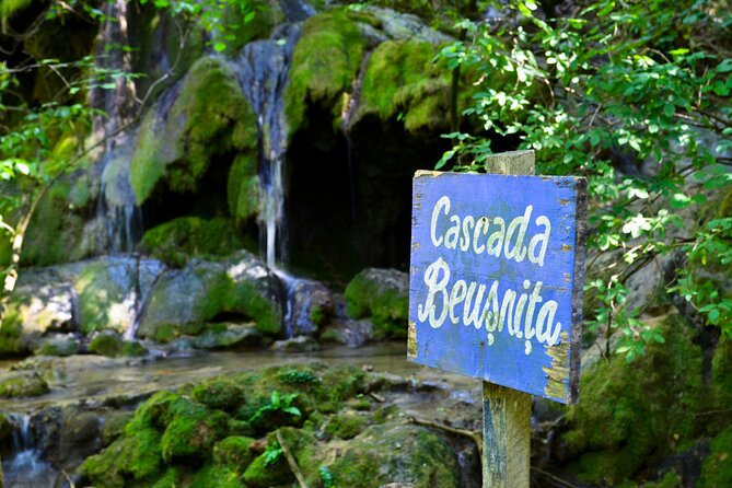 Nera Gorge National Park - Private Day Tour From Timisoara - Meeting Point and Pickup