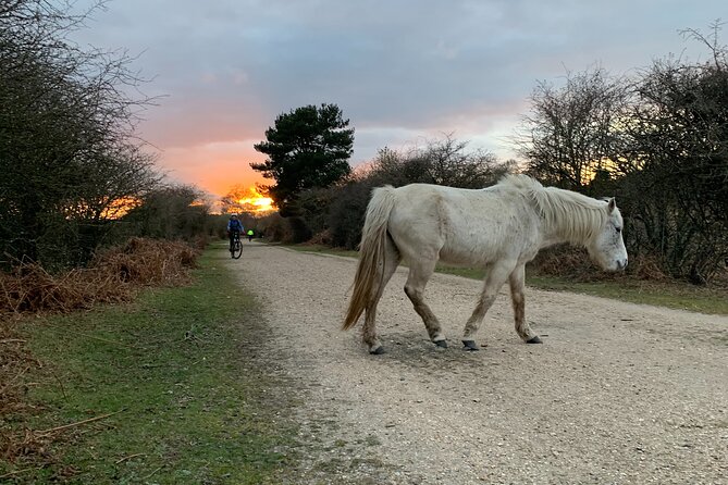 New Forest Sunset Bike Rides - Preparing for the Bike Ride