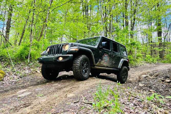 New River Gorge Jeep Tour (Half Day) - What to Expect