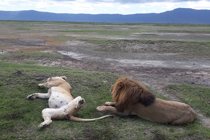 Ngorongoro Crater Day Trip - Inclusions and Amenities