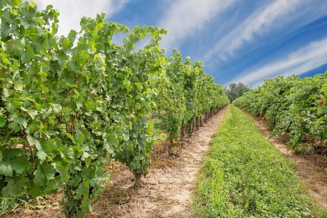 Niagara County Wine Tour and Tasting - Winery Stops on the Tour