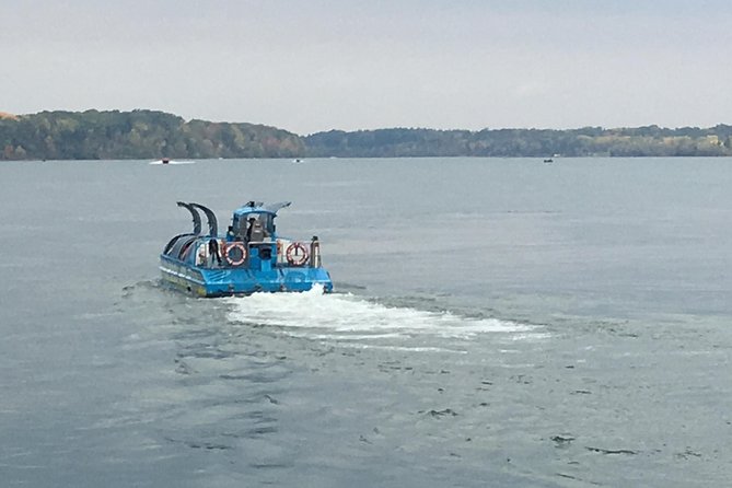 Niagara Falls Sightseeing Tour of USA Side Plus Jetboat - Included Activities