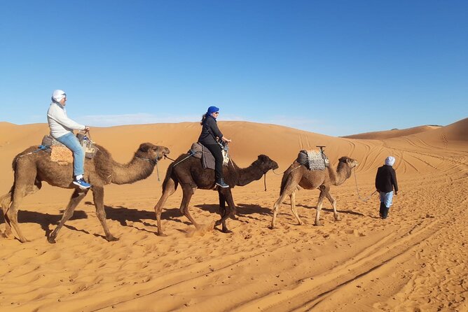 Night in Erg Chebbi Desert, Camel Ride, Departure From Errachidia - Camel Ride Adventure