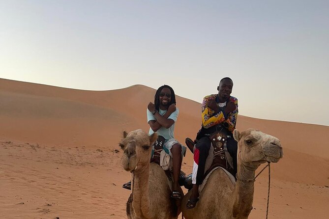 Night in the Desert of Lompoul - Dining Experiences