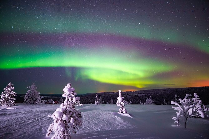 Night Snowshoeing Adventure Under the Northern Lights - Meeting and Pickup Details