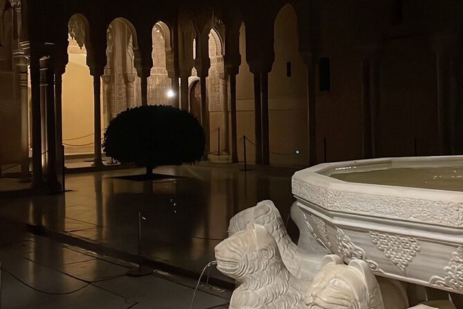 Night Tour of the Alhambra and the Nasrid Palaces - Exploring the Nasrid Palaces
