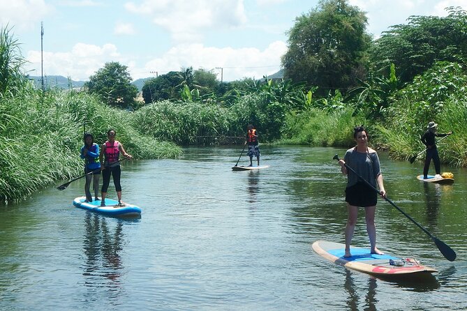 No.1 Chiang Mai: Stand up Paddle Board Through Mae Taeng Forest - Wildlife Encounters