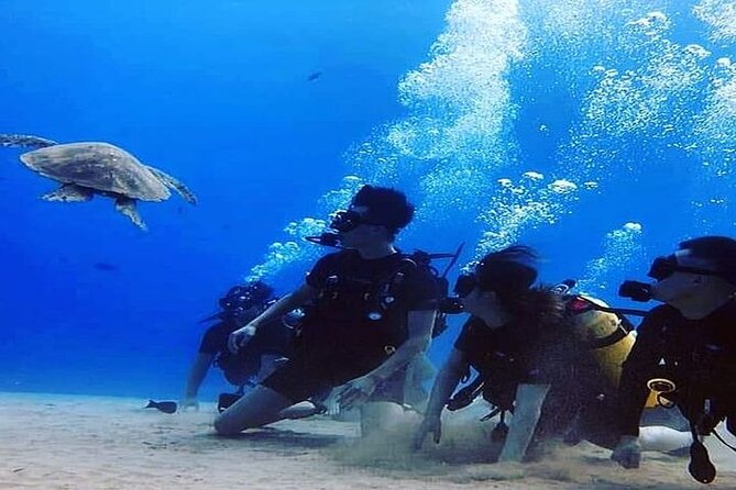 No Certification Required Scuba Dive and Island Tour With Guide - Meeting and Pickup Details