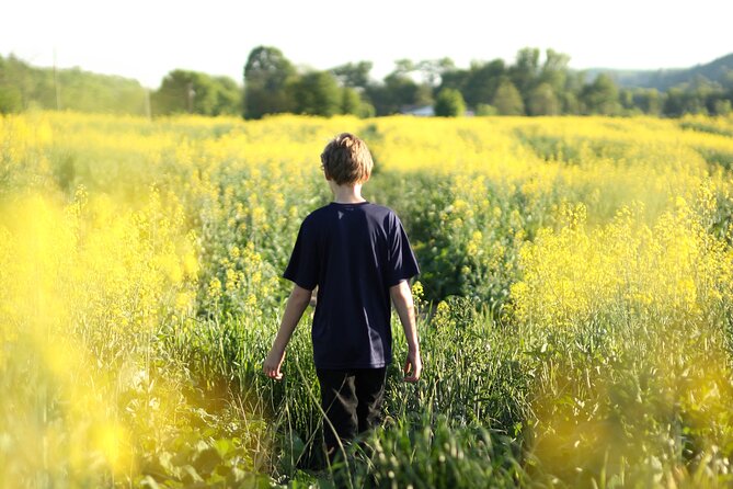 Norfolk Self-Guided Smartphone Tour and Scavenger Hunt  - Norwich - Self-Led Tour Flexibility