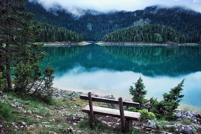 North of Montenegro Private Tour - Tara Canyon & National Parks - Discovering Biogradska Gora National Park