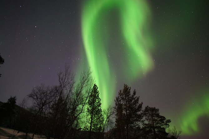 Northern Lights Hunt - Meeting and Pickup